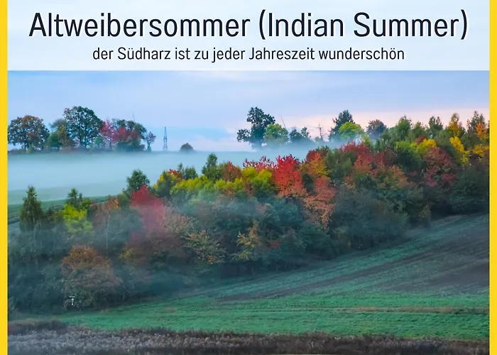 Marks Ferienwohnung In Bad Sachsa - Waldnah, Hundefreundlich, Ruhig! Ideal Fuer Paare Mit Hund