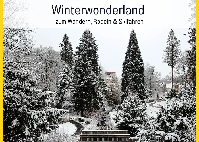 Marks Ferienwohnung In Bad Sachsa - Waldnah, Hundefreundlich, Ruhig! Ideal Fuer Paare Mit Hund