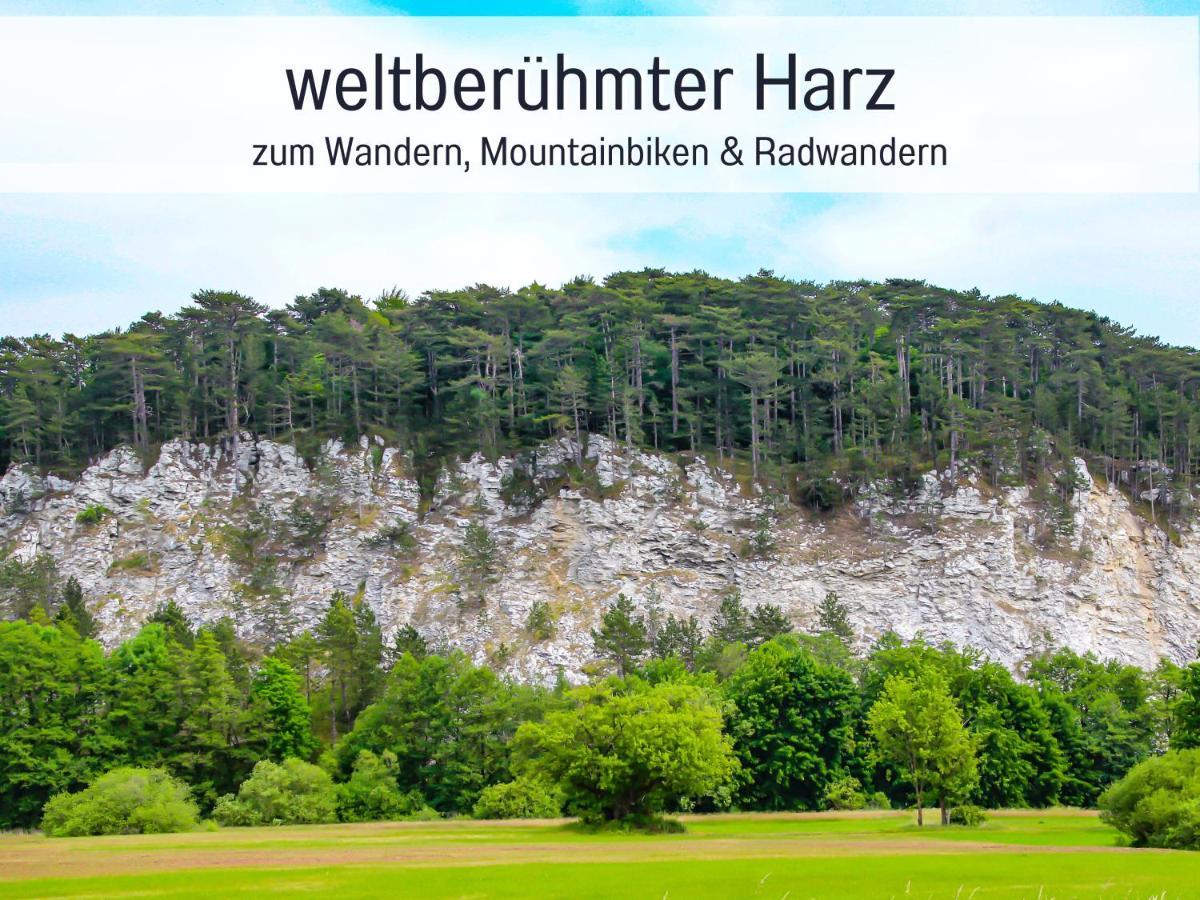 Apartment Marks In - Waldnah, Hundefreundlich, Ruhig! Ideal Fuer Paare Mit Hund
